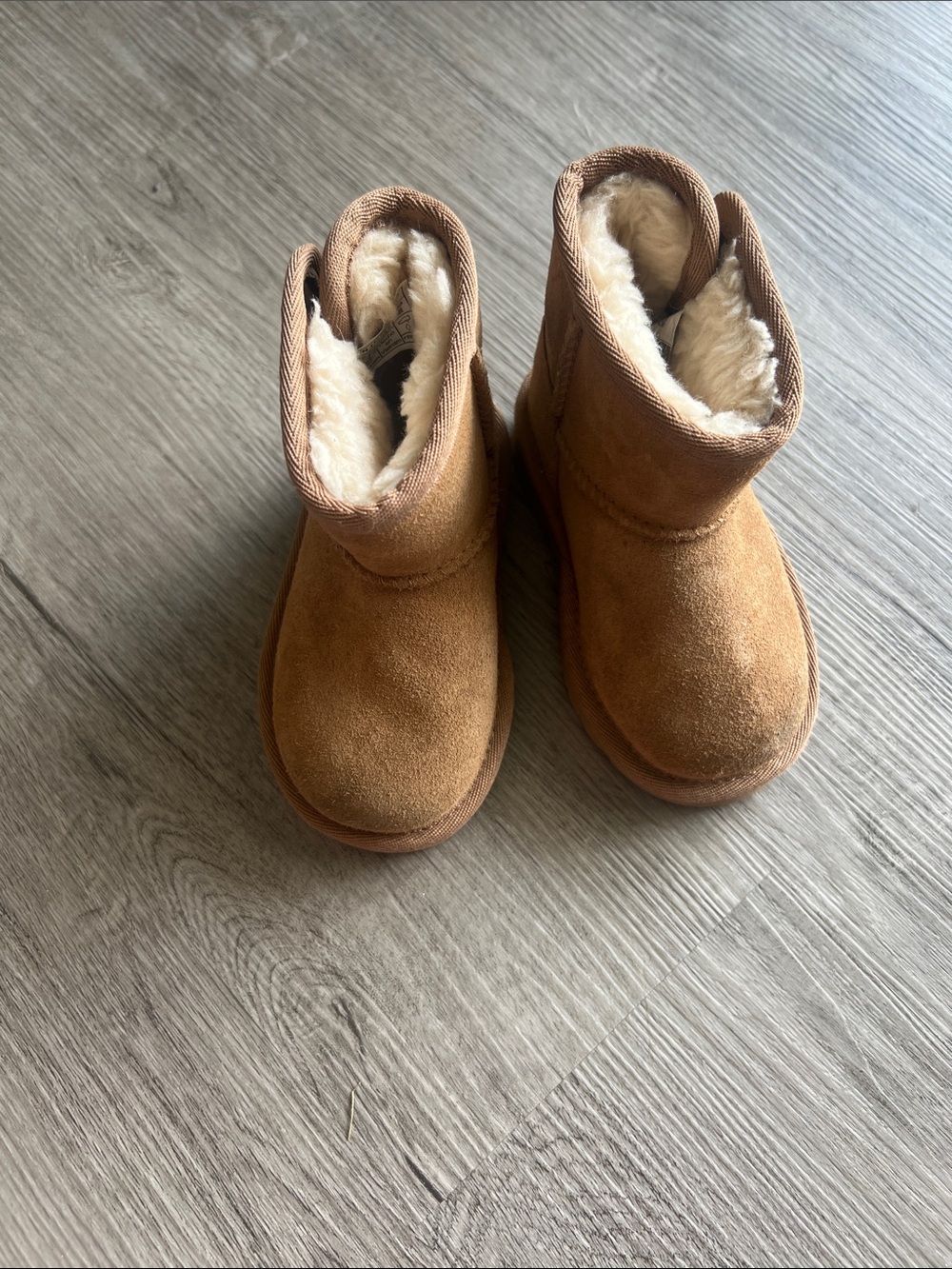 UGG Kids Classic Mini Boot in Chestnut Suede